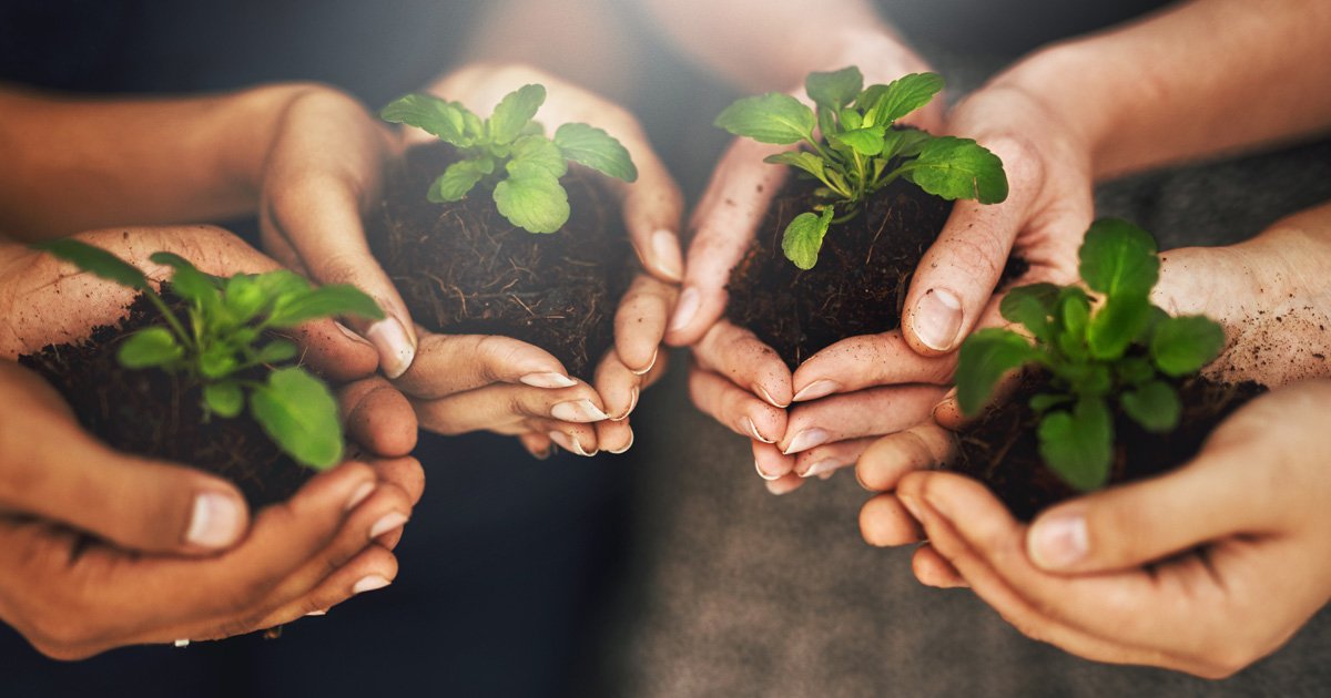 AmalgamatedBank's tweet photo. We're starting off this giving season with a bang! With our #VoteToGive campaign kicking off next week, your vote can generate donations to the nonprofits you care about most. Stay tuned for more details! https://t.co/Yd8WcmRF7R