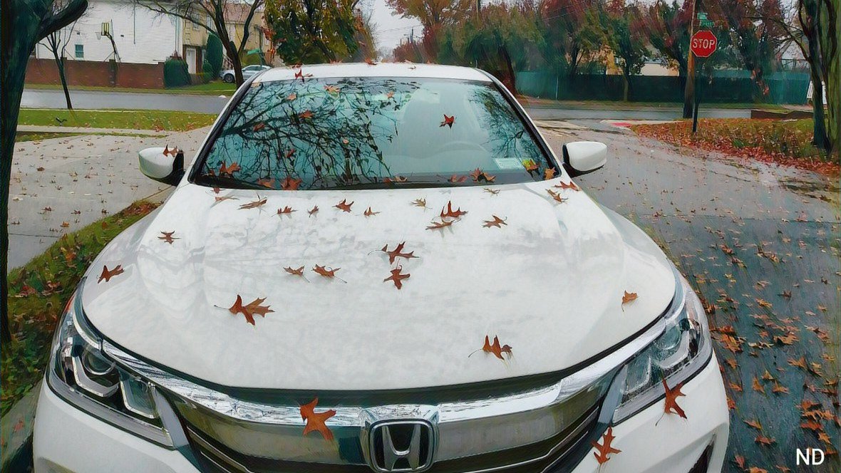 Another way to exemplify the autumn.
#Autumn #autumnleaves #bhportdev #BHEventSpace