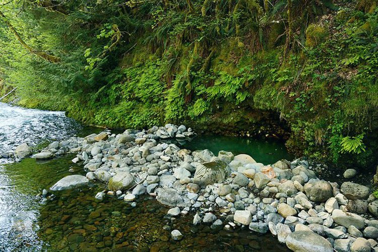 HassonRealtors's tweet image. ♨ The Pacific Northwest is filled with hot springs, ranging from tiny hand-dug pools immersed in nature to massive hot spring resorts with luxurious amenities. 9 #HotSprings You Need to Visit in Oregon + Southwest Washington, Mapped: bit.ly/2PuHMcA #ExplorePNW #PNW