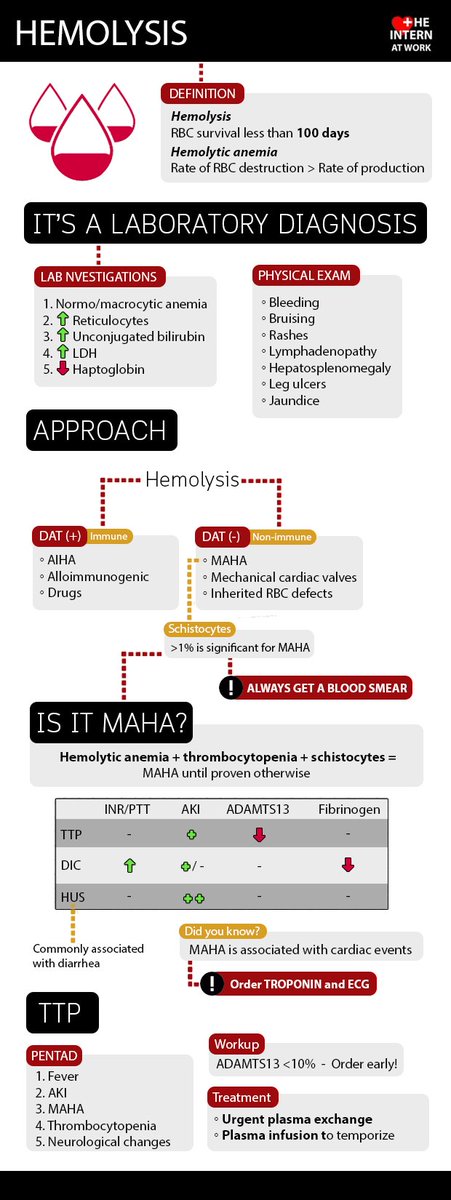 Approach to Hemolytic Anemia via @InternAtWork: 

theinternatwork.com/infographics/

#FOAMed #FOAMim #Meded images made searchable to bookmark on grepmed:

'hemolytic anemia' -> grepmed.com/?q=hemolytic+a…