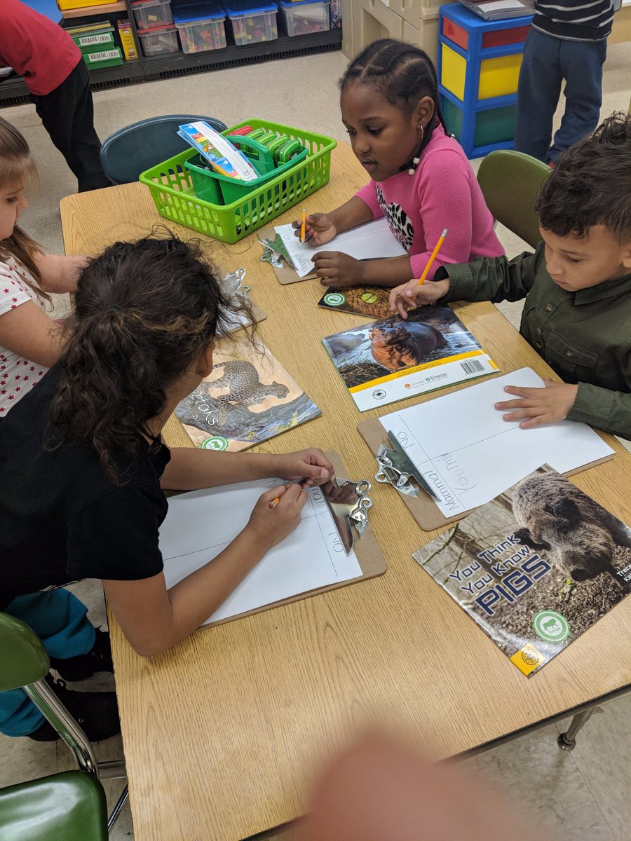 Kindergarten students classifying mammal or no? Research in K? Absolutely! <a href="/GeauxMattReher/">Matt Reher</a> <a href="/AmericanReading/">American Reading</a> <a href="/PawtucketSup/">Patti DiCenso</a> #pawtucketinspires