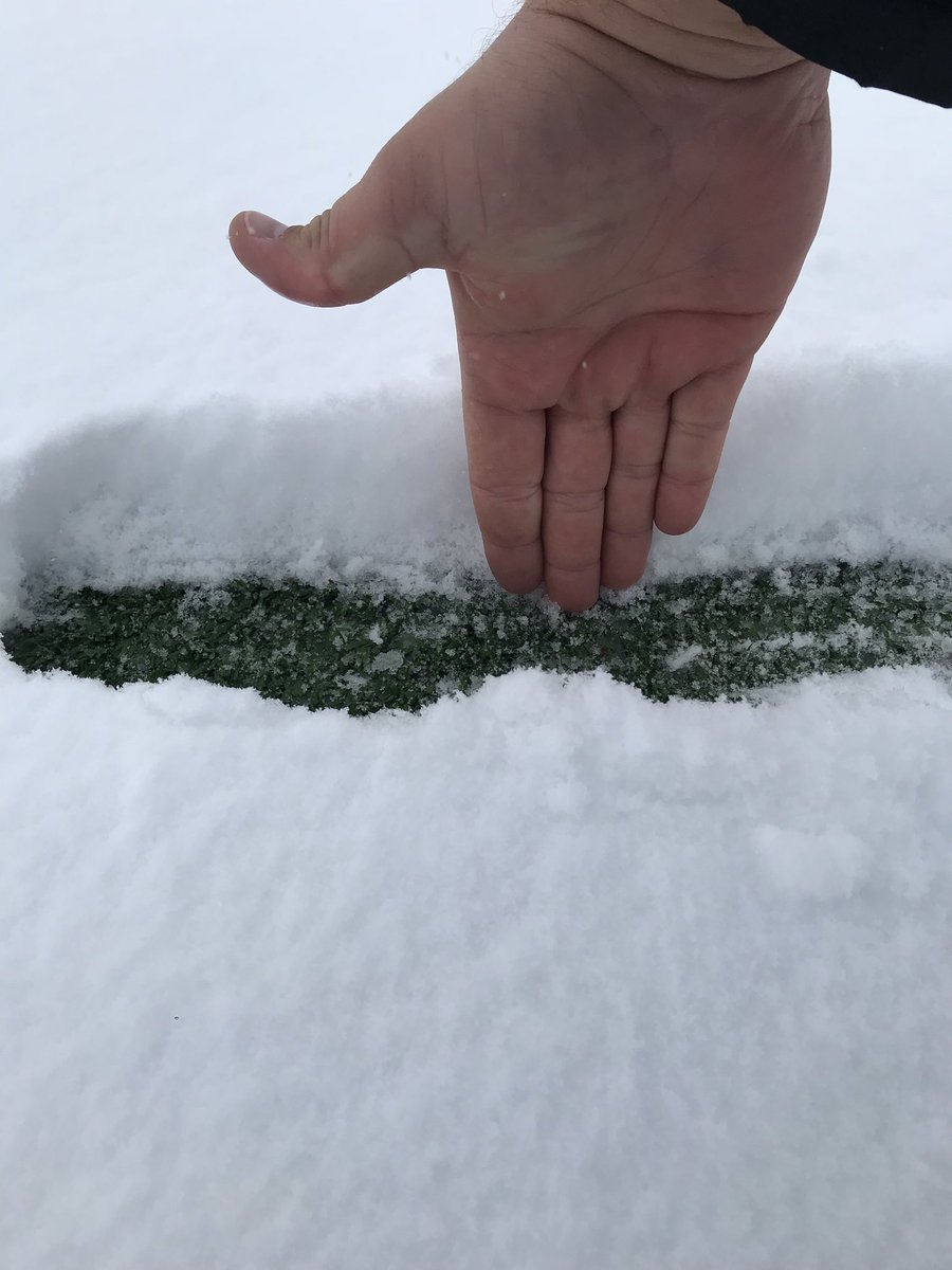 RyanJBjorn's tweet photo. Thanks for the heads up on the winter storm warning #uhyathink #moco https://t.co/3obmrTCMWz