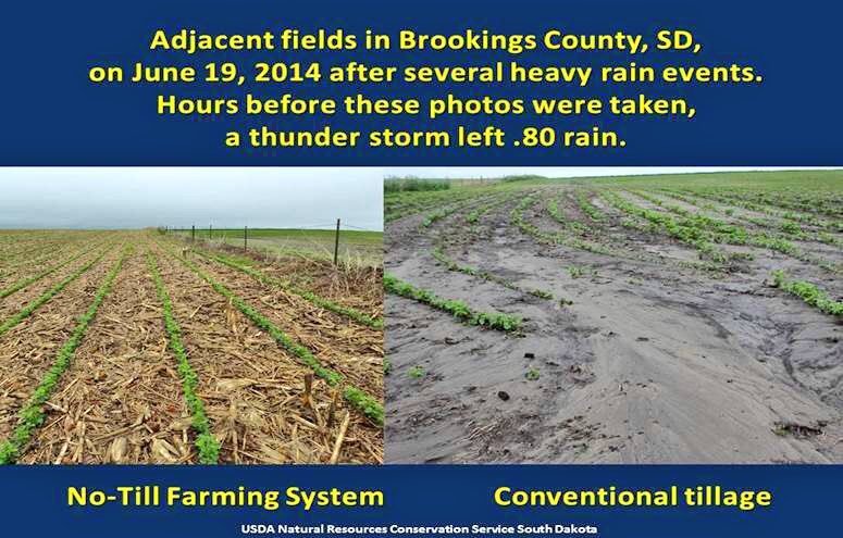 USDA_NRCS's tweet photo. When you #KeepTheStubble, you keep your soil. https://t.co/pEHIAo8f5p  #NoTillNovember https://t.co/LqJeUjsFeS