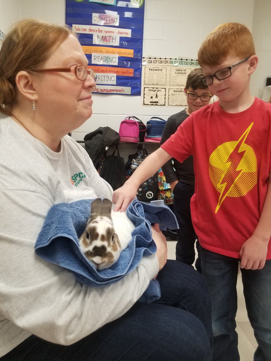 CFESMsLove's tweet photo. Kelsey is up for adoption at the #VBSPCA. Compassion Classroom lessons are always a hit for my #lovebugs. #nativeamericans #thanksgiving #rabbits #adoptme #coltspride @cfescolts @vbspca https://t.co/pLYrVnPD2M