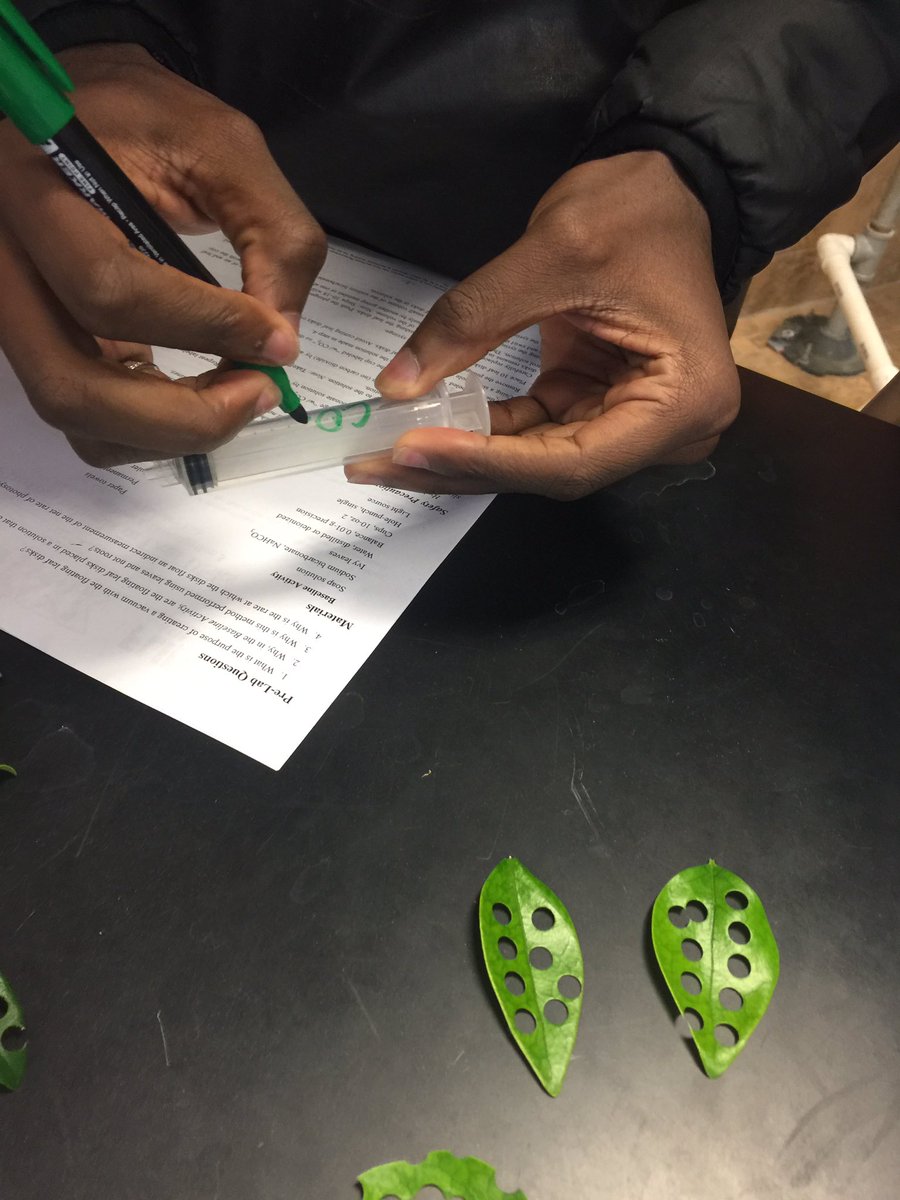 arslancivelek's tweet photo. AP Biology/Photosynthesislab#hsahoustonhigh1,#stemsos,#stem,#biologylab,#apbiologylab,#photosynthesislab,#floatingleaves,#hsahoustonhigh1 https://t.co/vVEFFRhnz9