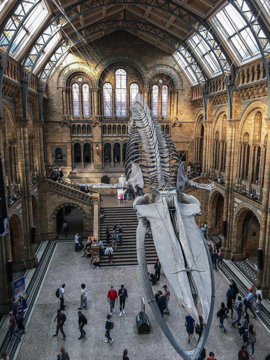 jennrsheehan's tweet photo. Life in London: September and October 2018 https://t.co/wkzGts6l5m https://t.co/uA4tdUxXMz