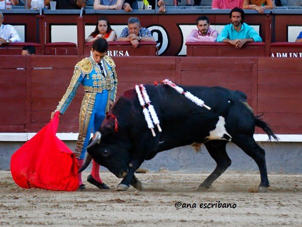 infovenegas's tweet photo. Torear la última corrida de Guardiola en madrid y también la última de @PoliMaza. 
La historia se repite. Ese es uno de los errores de la historia. https://t.co/8i0N7OFP7b