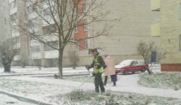 belteanews's tweet photo. В Могилёве на первый снег кладут асфальт, в Витебске его пытаются косить.

Штош https://t.co/InLPnD31oE