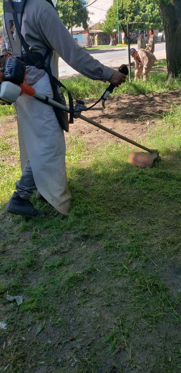 MartelliFede's tweet photo. En Av. 32 y 147 estamos desmalezando y limpiando las veredas. Desde el Programa de Recuperación del Espacio Público cumplimos con los vecinos que nos piden una mano ante la ausencia de la Municipalidad. #LaPlata #TieneValor https://t.co/Zvai3hdxwZ