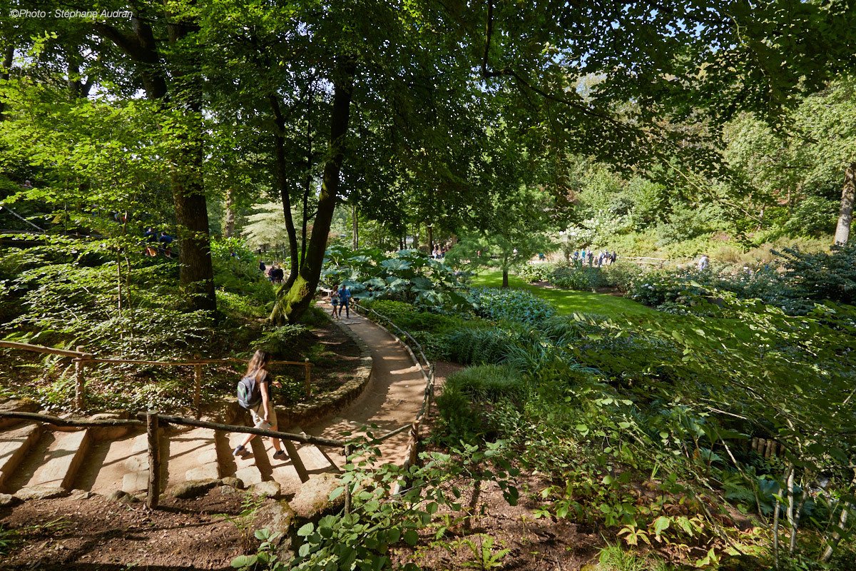 PuyduFou's tweet photo. La préservation de l’environnement nous tient à coeur ! Grâce aux efforts de tri et de recyclage, la part des déchets valorisés a augmenté de 82% depuis 2012 ! #JournéeMondialeduRecyclage https://t.co/ZJPKmvMSuo