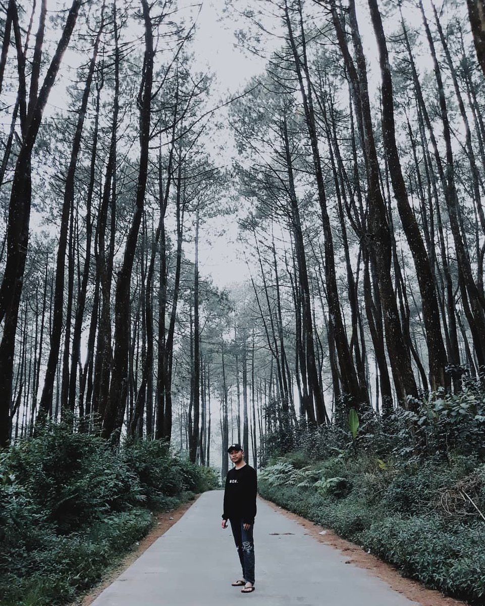 pizzamiepie's tweet photo. A Thread 

Tempat foto keren di Bandung GRATISSSS! 

RT yah biar semua tau https://t.co/gHhpOailhV