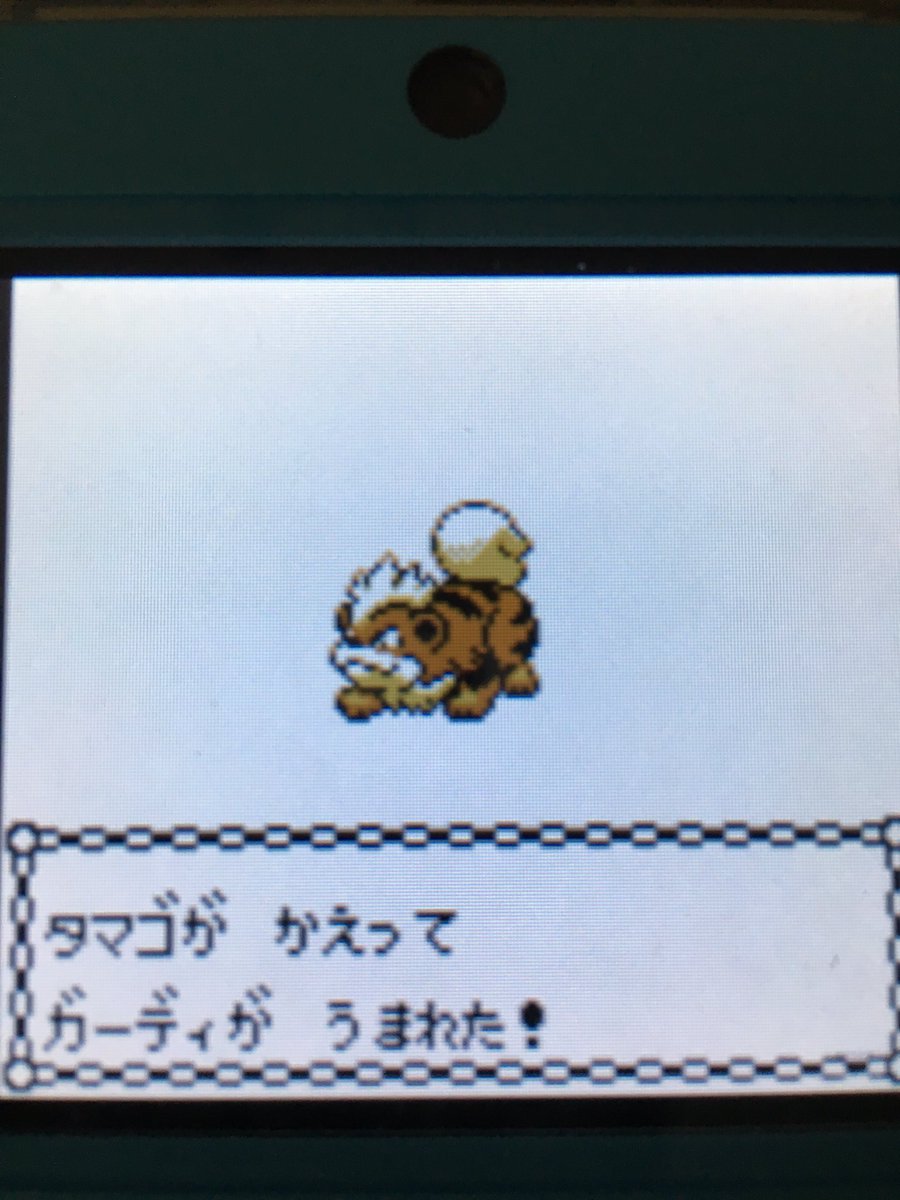 色違いポケモン紹介 Vc産ガーディ 自由に生きてあそblog