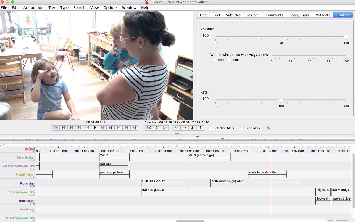 Annotating videos in ELAN for our pilot project on #familylanguagepolicy . Time-consuming work but good to spot things you don’t actually see when just looking at the video! Hearing research assistant will check for sound later @AnneliesKusters @JeminaNapier