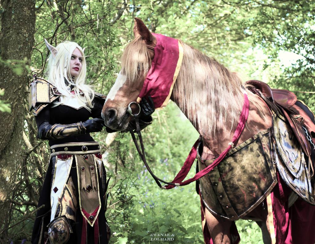 Blutelf Paladin: Ewenae, Foto: Ewenaes Vater