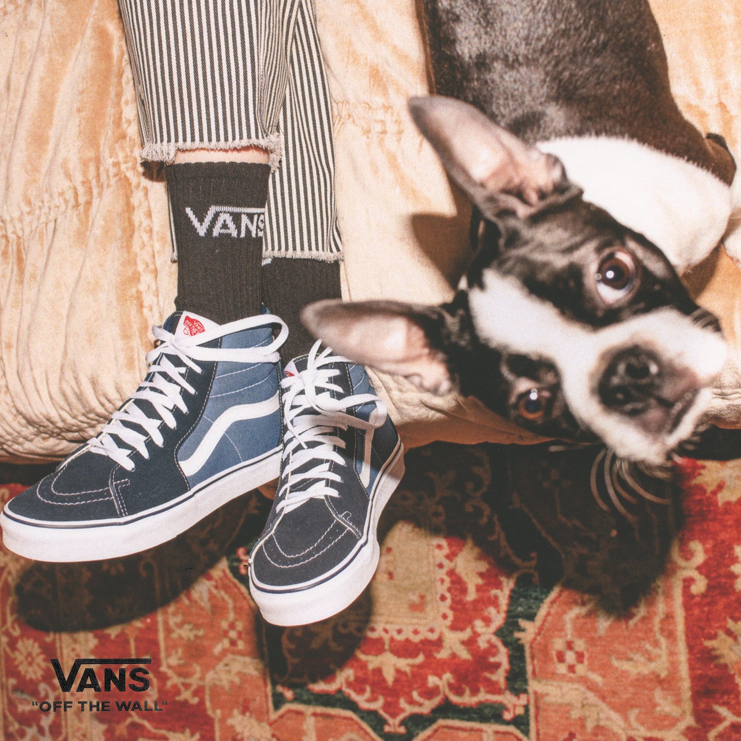 sportscene online shopping vans