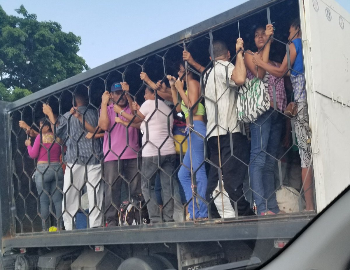 TorresAren's tweet photo. #ExpoPortuguesaPotencia GRACIAS AL CHAVISMO SOCIALISTA del SIGLO XXI 
y al gran NARCO TIRANO @NicolasMaduro 
#ExpoPortuguesaPotencia en materia de trasporte publico.
Así se trasladan las personas en portuguesa
Por la MISERIA CASTROCHAVISTA
#16nov #17Nov https://t.co/909IsLkQ7d
