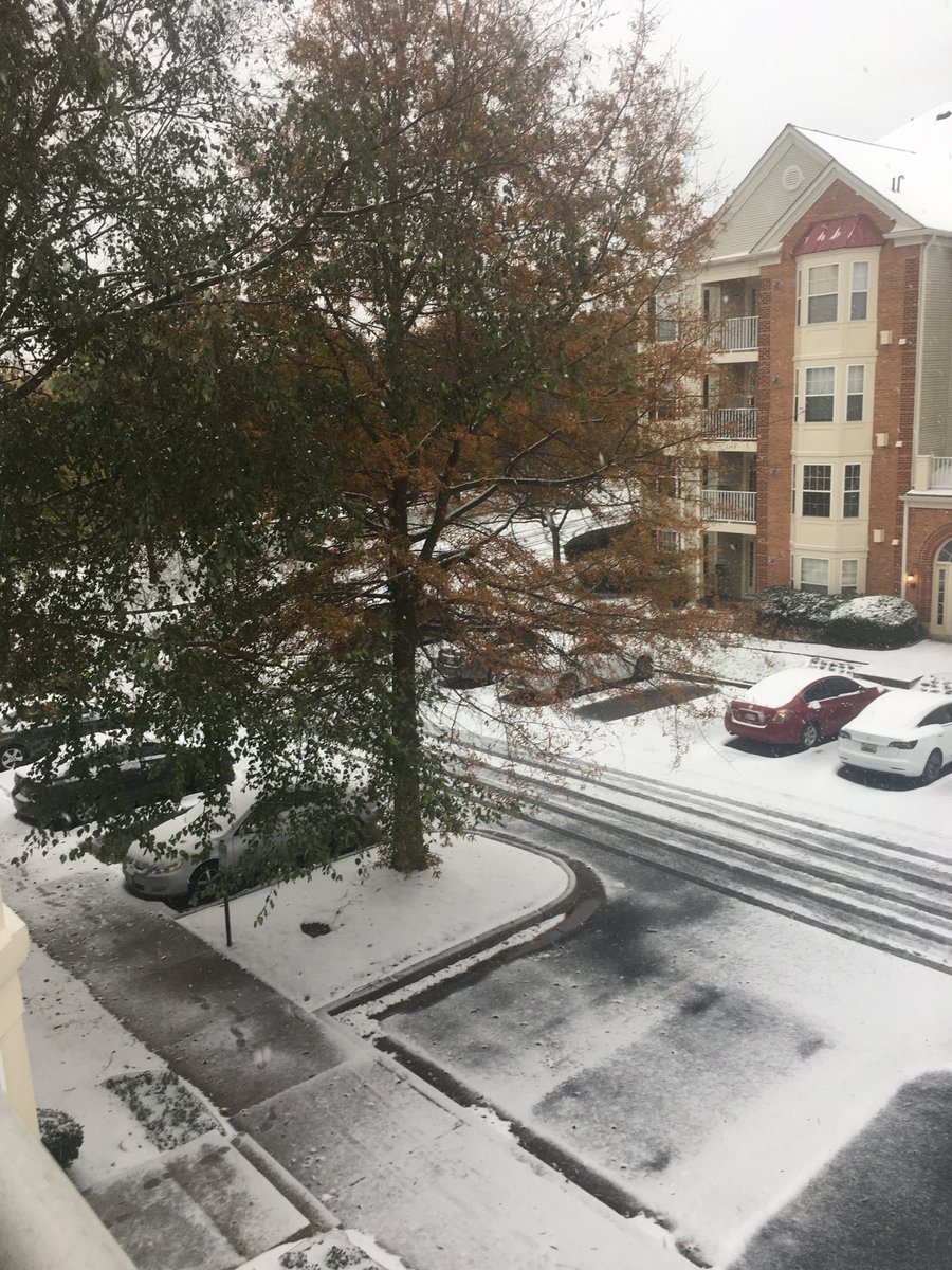 First Snow of “near” Winter 2018 - 11/15/2018 Germantown, MD