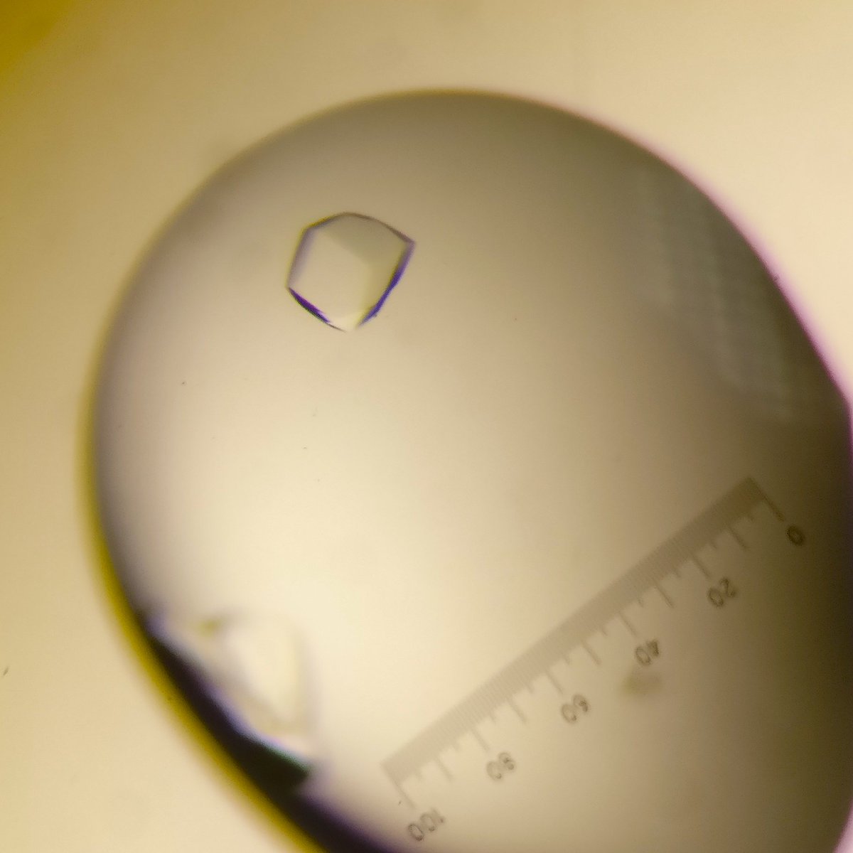 YSBL_York's tweet photo. Cool crystals of an oxidoreductase by @Snowknowsnosnow (Alex Snow), PhD student in @ProfG101 group #RealTimeChem #CrystalPic https://t.co/qNF4I3BjV4