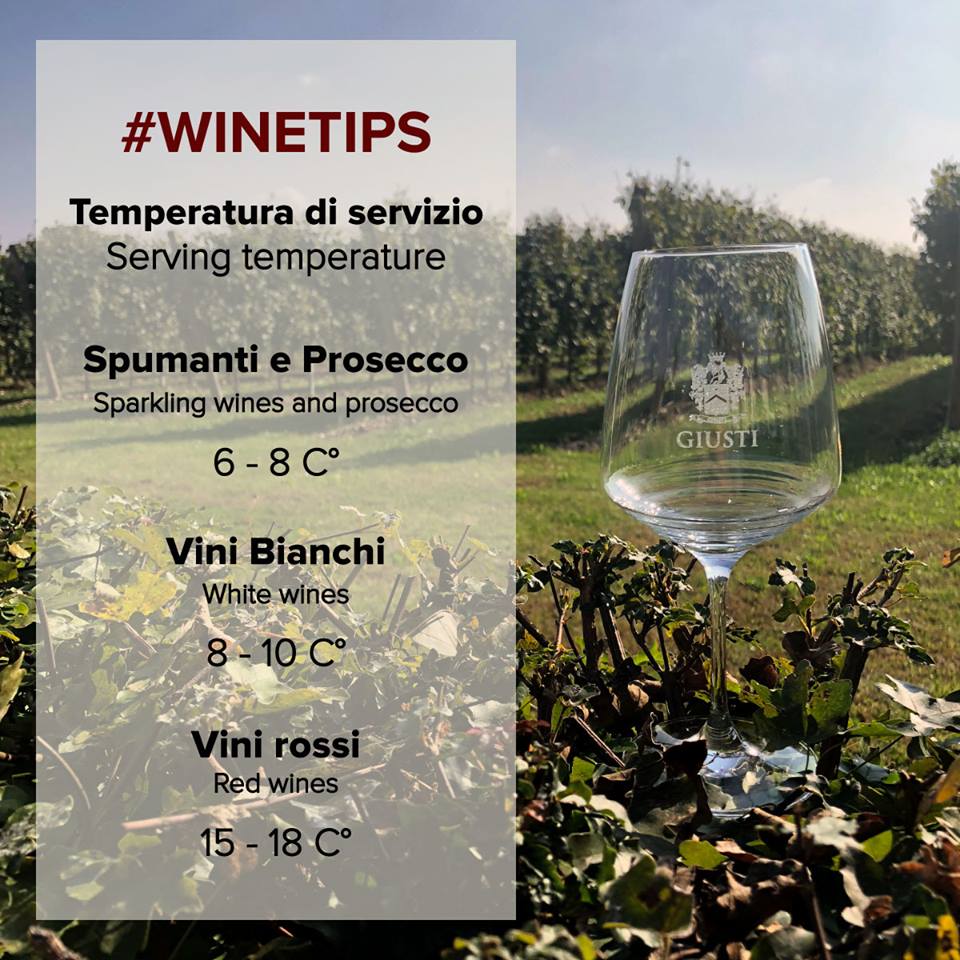 #WineTips
The importance of the #service #temperature to taste every #wine at its #best!

#Giustiwine  #infographic #winetips #winelover #redwine #whitewine #sparklingwine