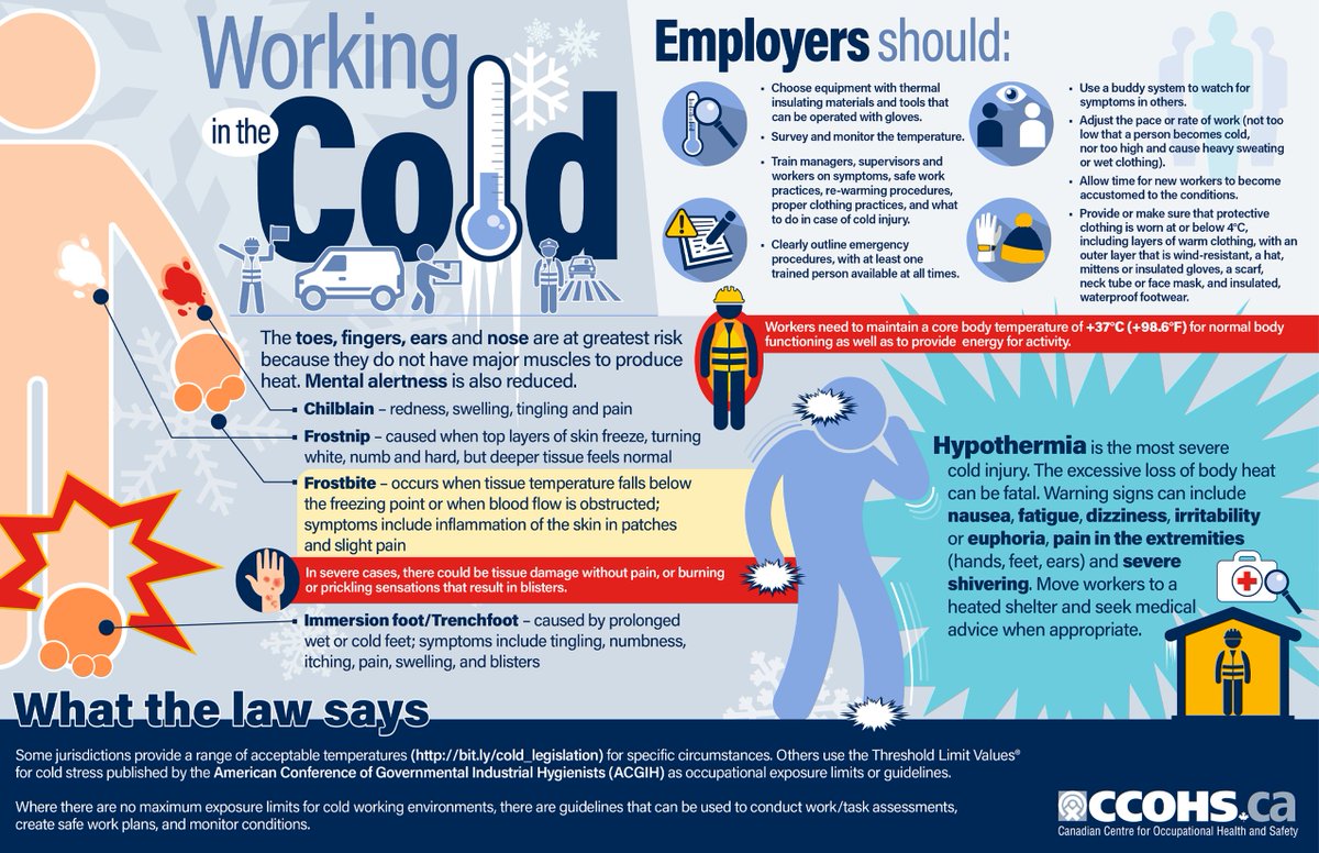 CCOHS's tweet photo. Share this #infographic which summarizes the major challenges and dangers of cold environments, the symptoms to watch out for, and what employers can do to protect their workers. https://t.co/GbXhdpdpR7 https://t.co/jl8cjIRoVv