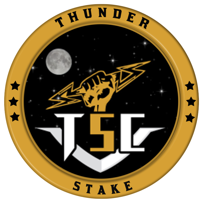 ThunderStake Coin tweet media