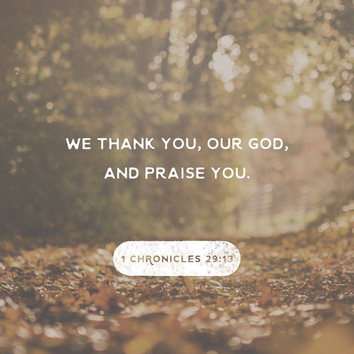 AFAMansfield's tweet image. Now therefore, our God, we thank thee, and praise thy glorious name.

#1Chronicles29_11 #KJV
#VerseoftheDay #afaLive1
AFAlive.com