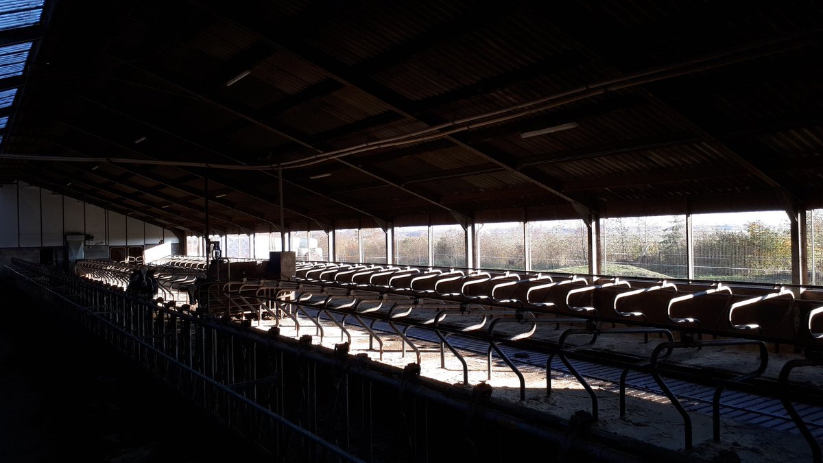 gravenweg14a's tweet image. Stal leeg wei vol #robotmelken @weideweelde