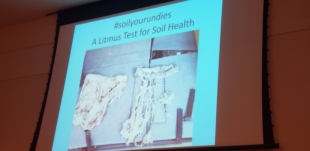 Underwear among known uses is also useful for testing soil health! Guess which comes from a plowed and from a #covercrop ed soil?