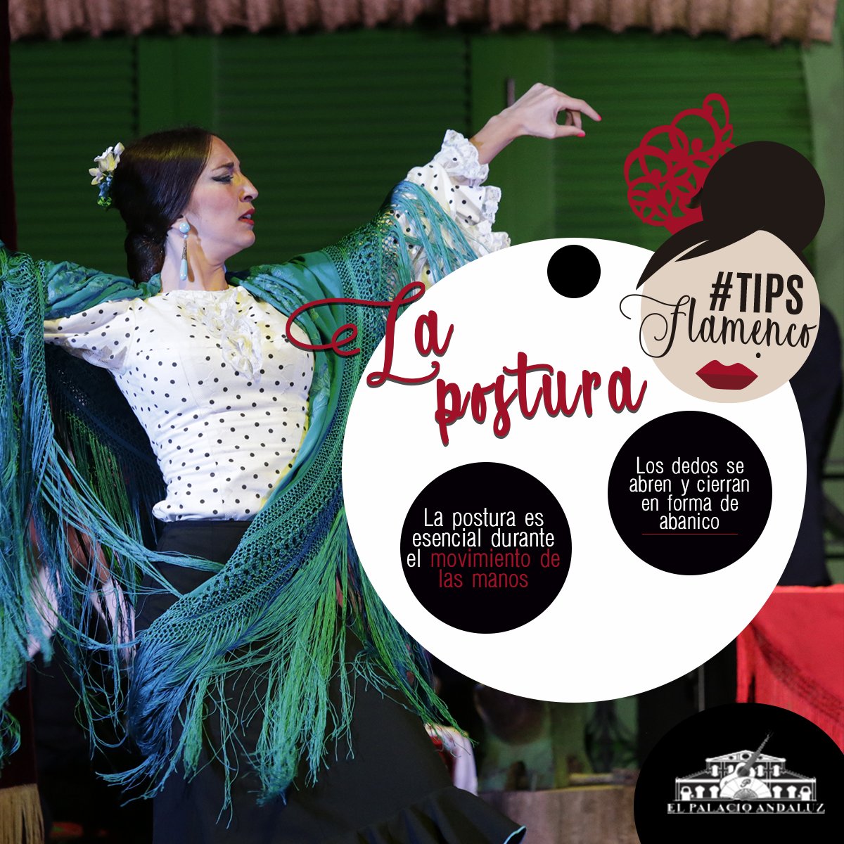 PalacioAndaluz's tweet photo. ¿Sabías que la postura es fundamental para el movimiento de las manos? 💃 ¡Mira este #TipFlamenco tan curioso! 😉
#elpalacioandaluz #palacioandaluz #curiosidad #posturaflamenca #curiosidadflamenco #tipsarte #tips #arte #andalucia #sevilla #turismo #sevillanas #españa https://t.co/fFNEYrVbHU