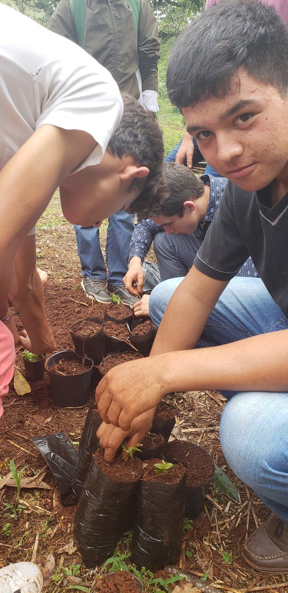 Laura_Noremberg's tweet photo. #Ayer Jornadas de PBL #Ext536 #Ugl3 Capacitación con el Ingeniero Yarmuzko Ex Alumno del #SecRural
Proyectos Con Alumnos y Familias
#MisionesConBuenaEscuela #EstelaTavares @mariluleverberg @udpm_misiones https://t.co/vuHGFFmXDB