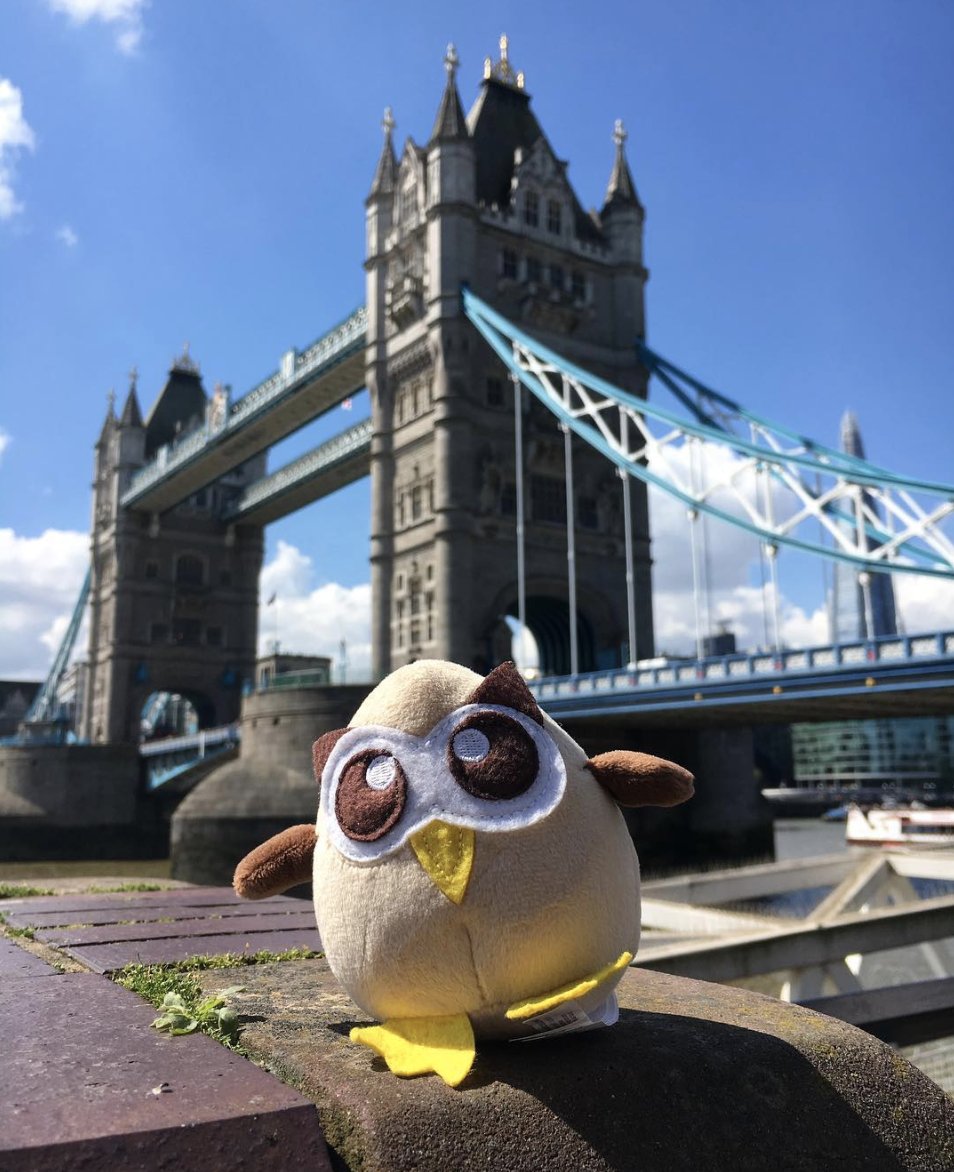 Hootsuite Careers tweet media