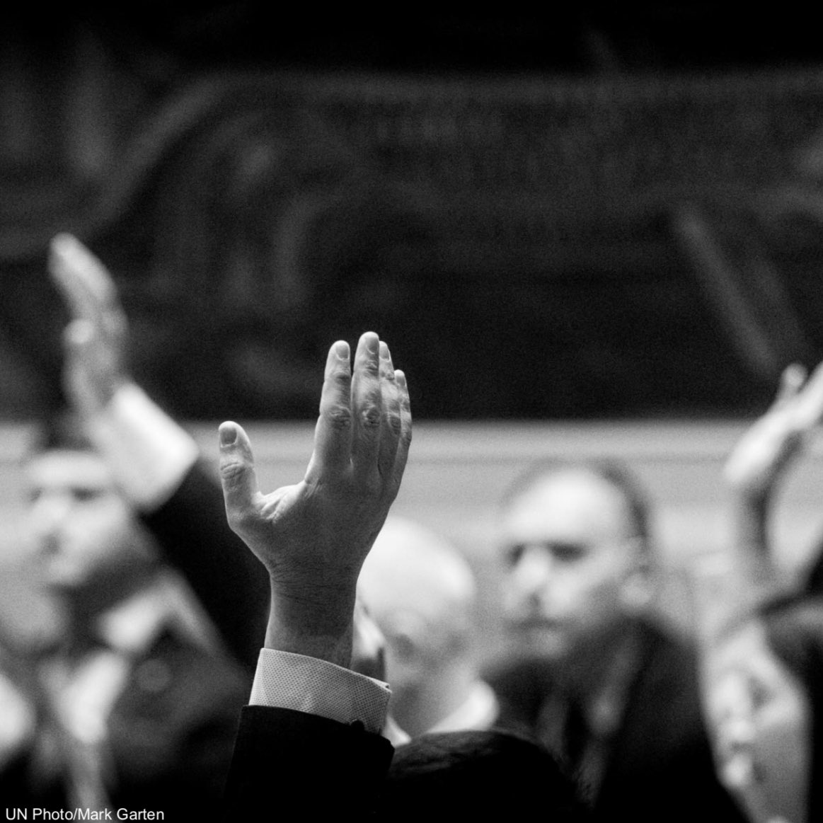 SwedenUN's tweet image. The #UNSC unanimously adopts Resolution 2445 extending the mandate for #UNISFA.