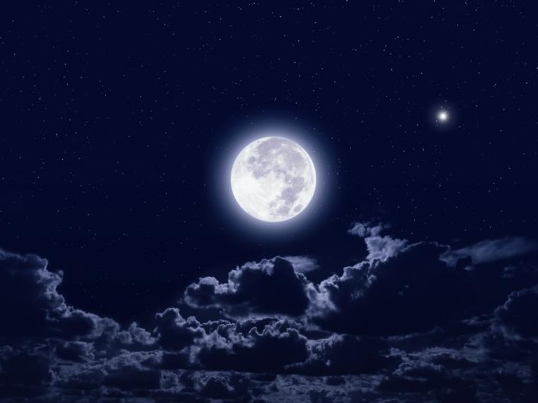 LauraSharon9's tweet photo. Primer Viaje de Turistas a la Luna será en el 2023 viajará #YusakuMaesawa y  ocho personas que representan el mundo del arte, músicos, diseñadores de moda, directores de cine, con la finalidad de inspirarse durante el viaje #ComunicaciónDigitalUdeM @ovstarboy1 https://t.co/CLdwIADzeV