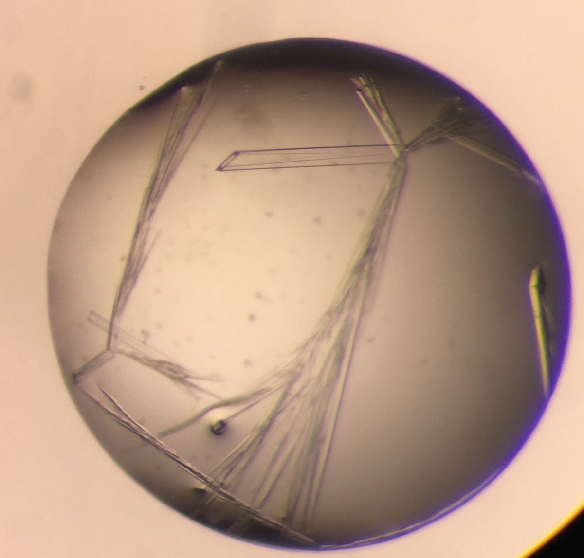 YSBL_York's tweet photo. Stunning tube-like crystals of a lytic polysaccharide monooxygenase (LPMO) from @PimkinDesu (Saioa Urresti), PDRA in @ProfG101 group #RealTimeChem #CrystalPic https://t.co/crkv80gxwn