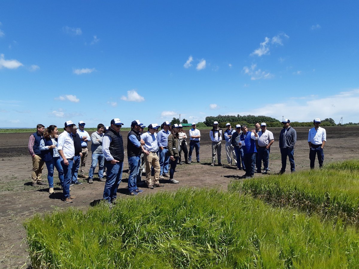 lareusg's tweet photo. Fuerza de ventas de nuestros Distribuidores. Visita a ensayos Estación Experimenta Tandil https://t.co/sTgJTMIRig