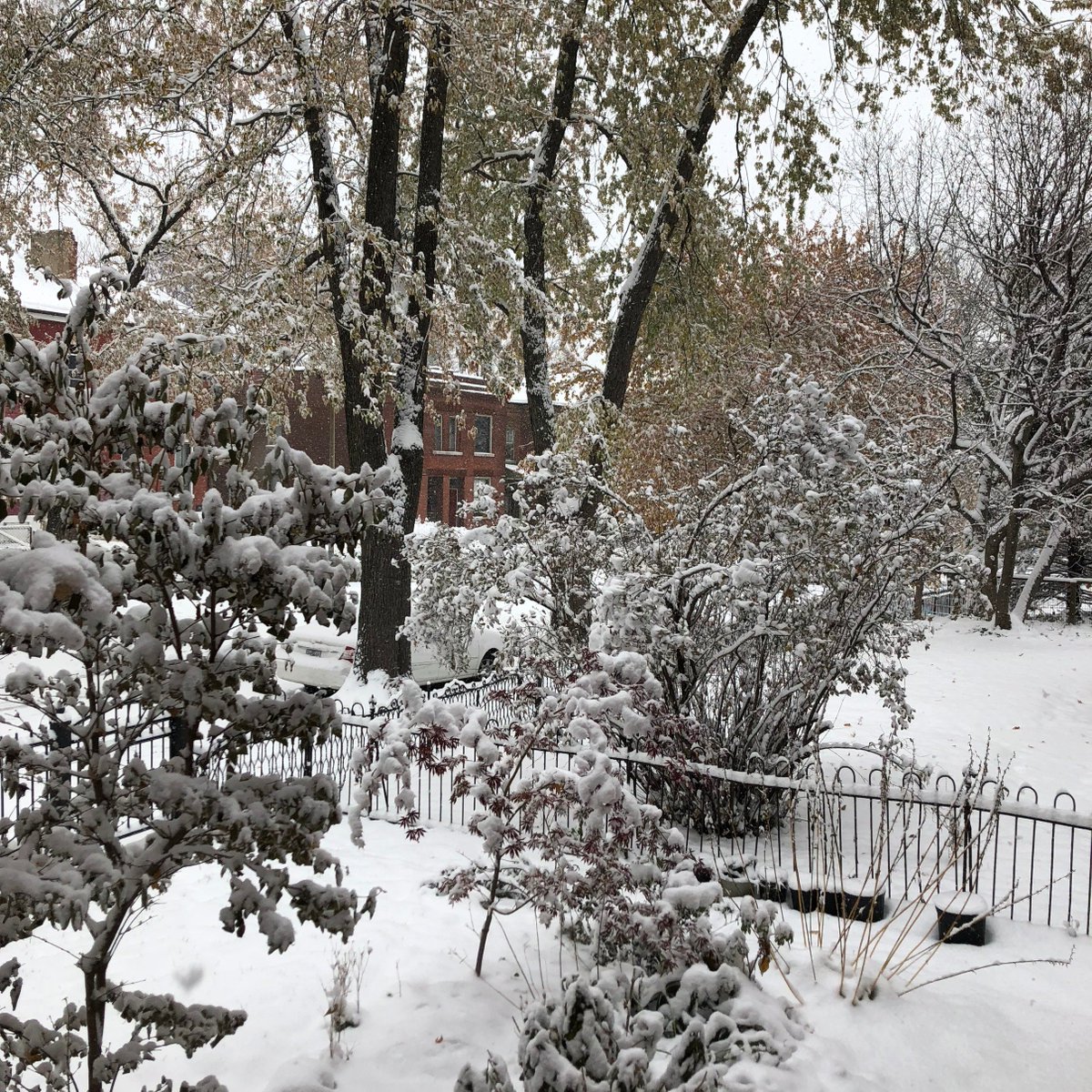 Due to snow our shop will open at noon today 11/15.  If you're off work then come down and explore our awesome natural makeup brands and participate in our #makeyourkisscount fundraising campaign. 💋💄❄️ See you this afternoon!