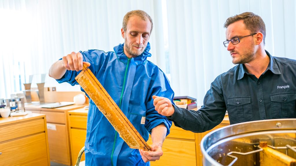 🍯 This week, the Beeodiversity team came to Dolce La Hulpe Brussels to extract honey from the beehives located on our site and present the procedure to our team members 🐝

ℹ You can taste honey from our beehives every morning at the breakfast buffet at the Argan.