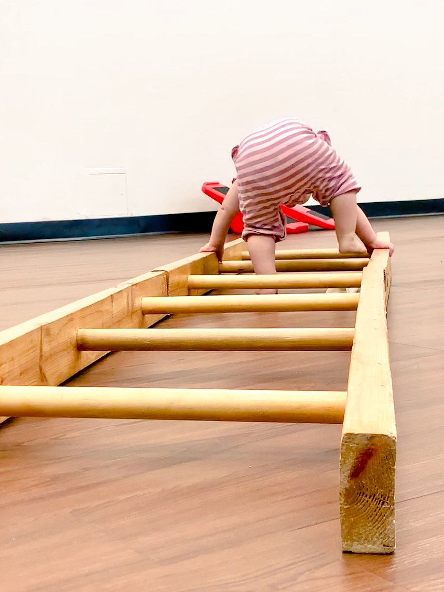 Chelsea Owens (she/her/hers) tweet media