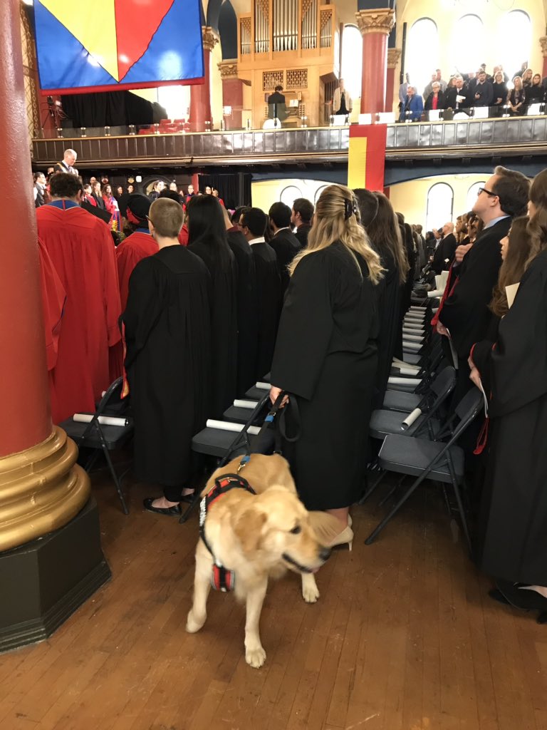 KLoQueens's tweet photo. A very good pupper at @queensu #QGrad18 https://t.co/KM6C5ME6dA