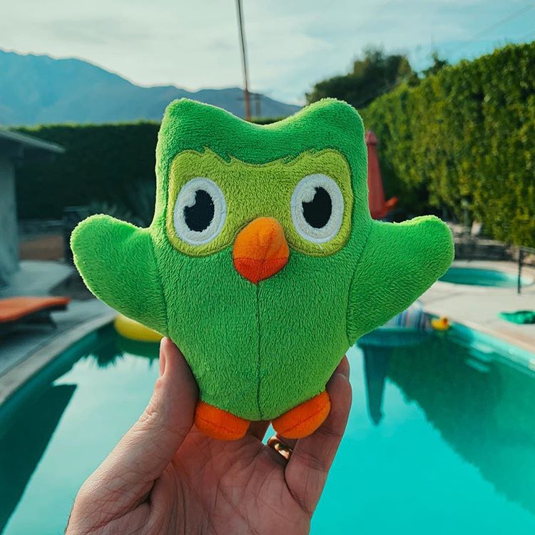 Duolingo Owl Plush, Please! - Duolingo