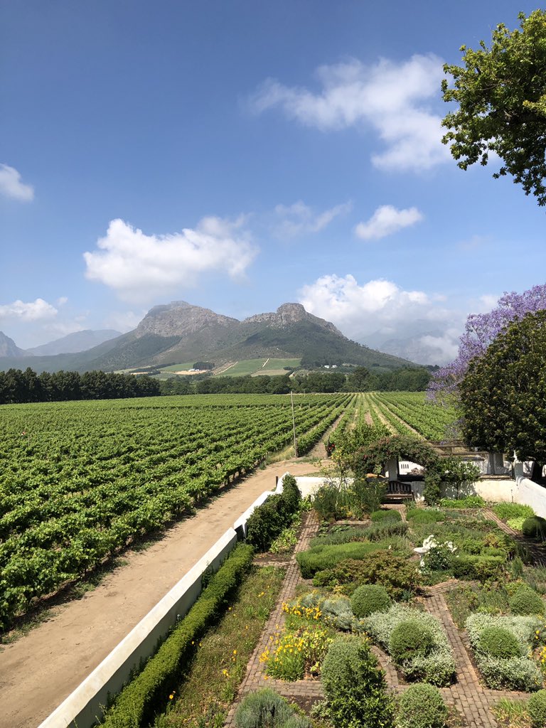 Knightlynews20's tweet photo. What a place! #Winetram #Frranschoek #BreakfastWine #HoldenManz https://t.co/CW7mU1vSQ1