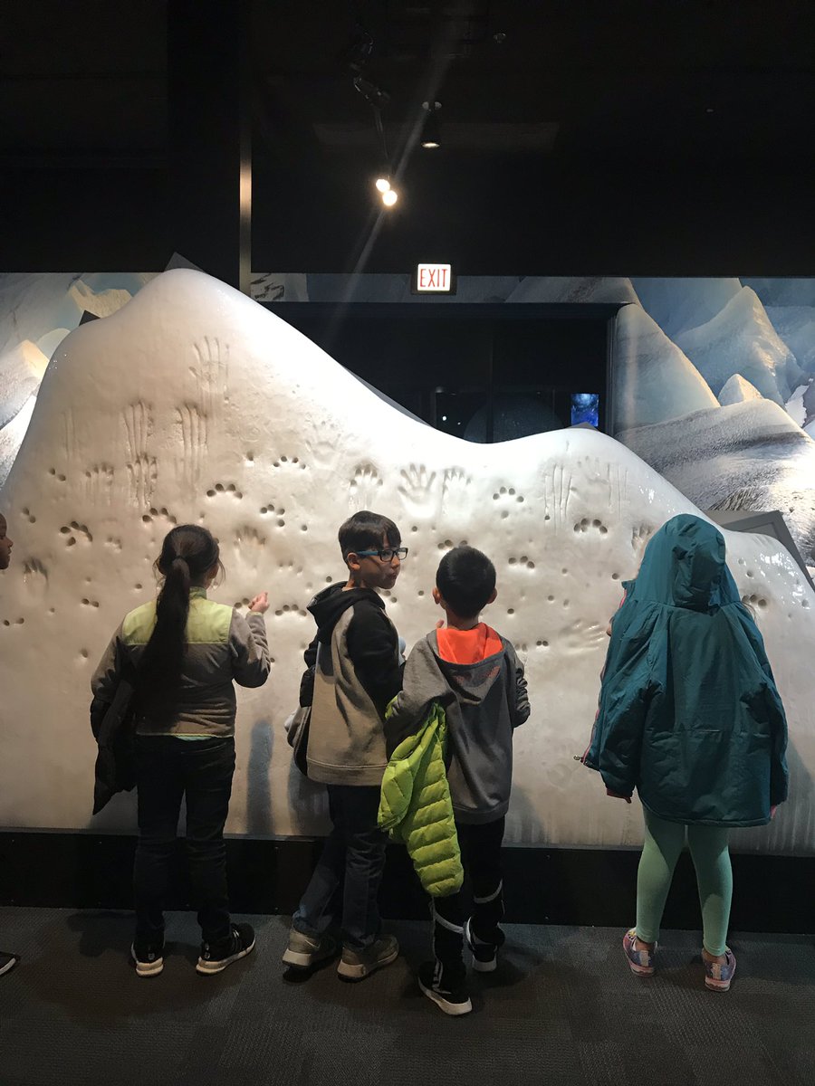 𝒮𝓇𝓉𝒶. 𝒜𝓁𝒸𝒶𝓃𝓉𝒶𝓇𝒶 tweet media