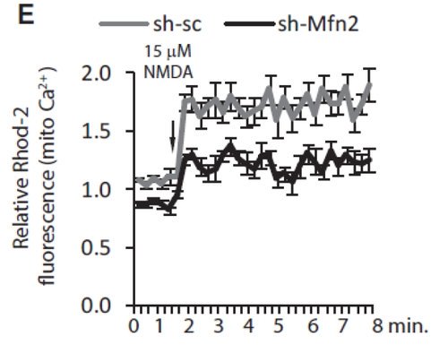 Maarten Lambrechts tweet media