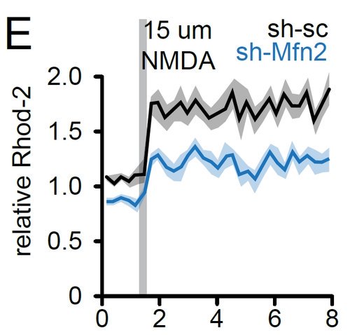 Maarten Lambrechts tweet media