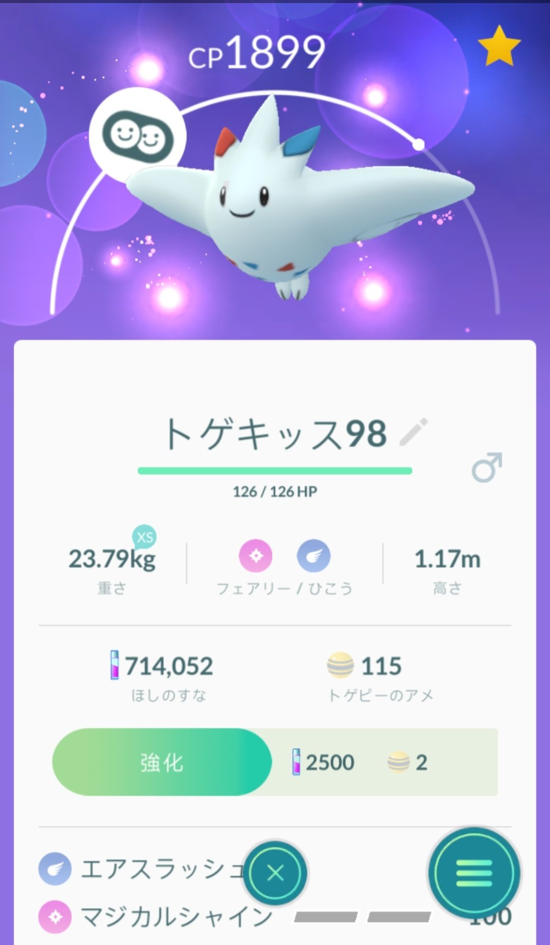 トゲチック進化 Twitter Search Twitter