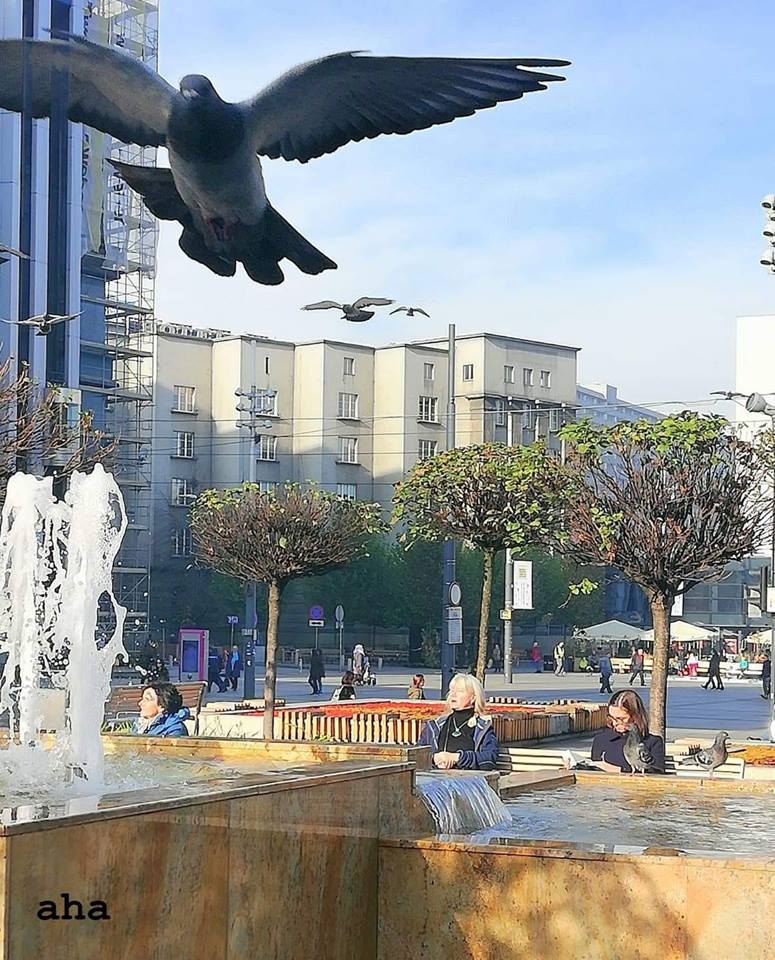 Grubiusz's tweet photo. Akcja choby u Alfreda H. ๐
#Katowice Rynek
#Ptoki
(fot. Anna Maria Harazin) https://t.co/qxIEVGaywR