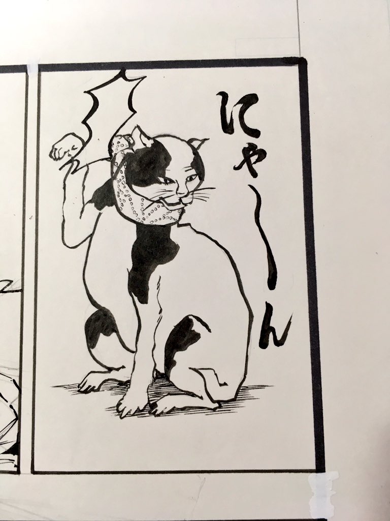 にゃーん 
