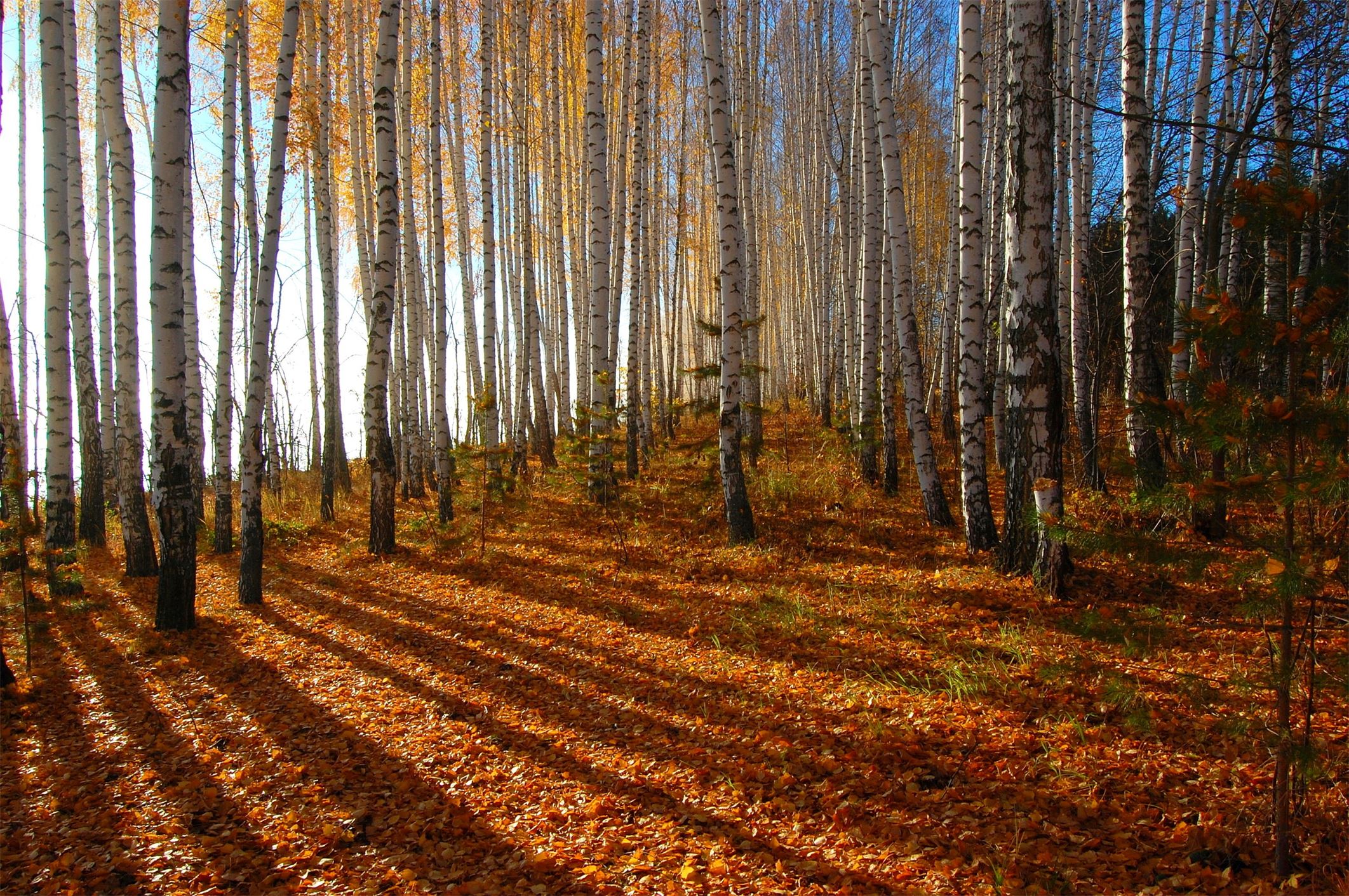Красоты России осень