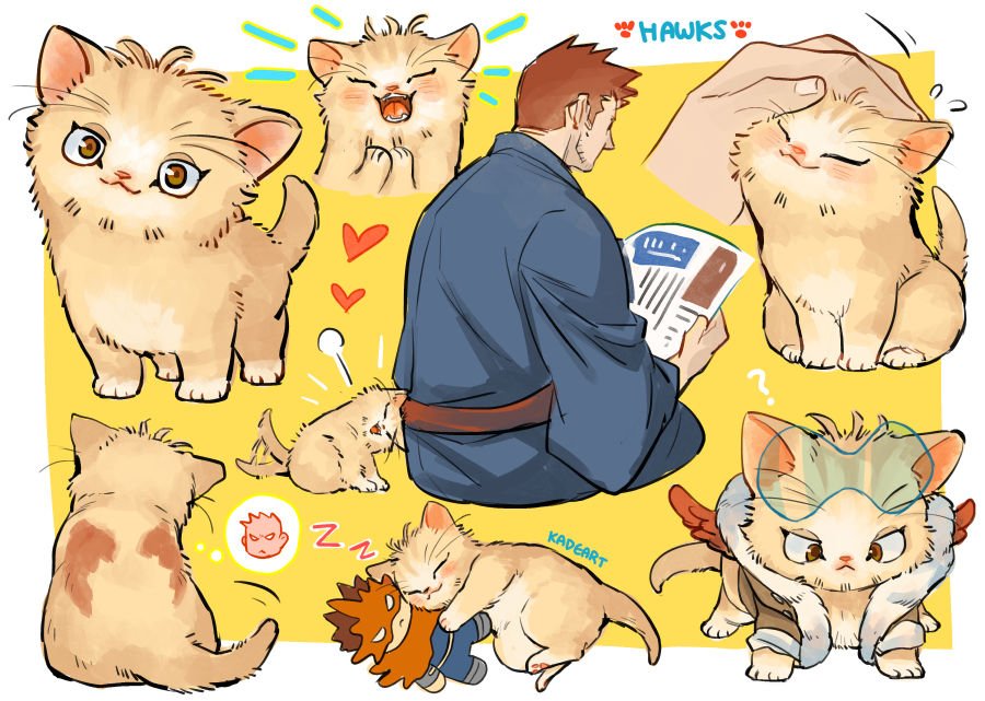 kadeart's tweet photo. kitten Hawks 🐱💕 https://t.co/jB7bv2uZxP