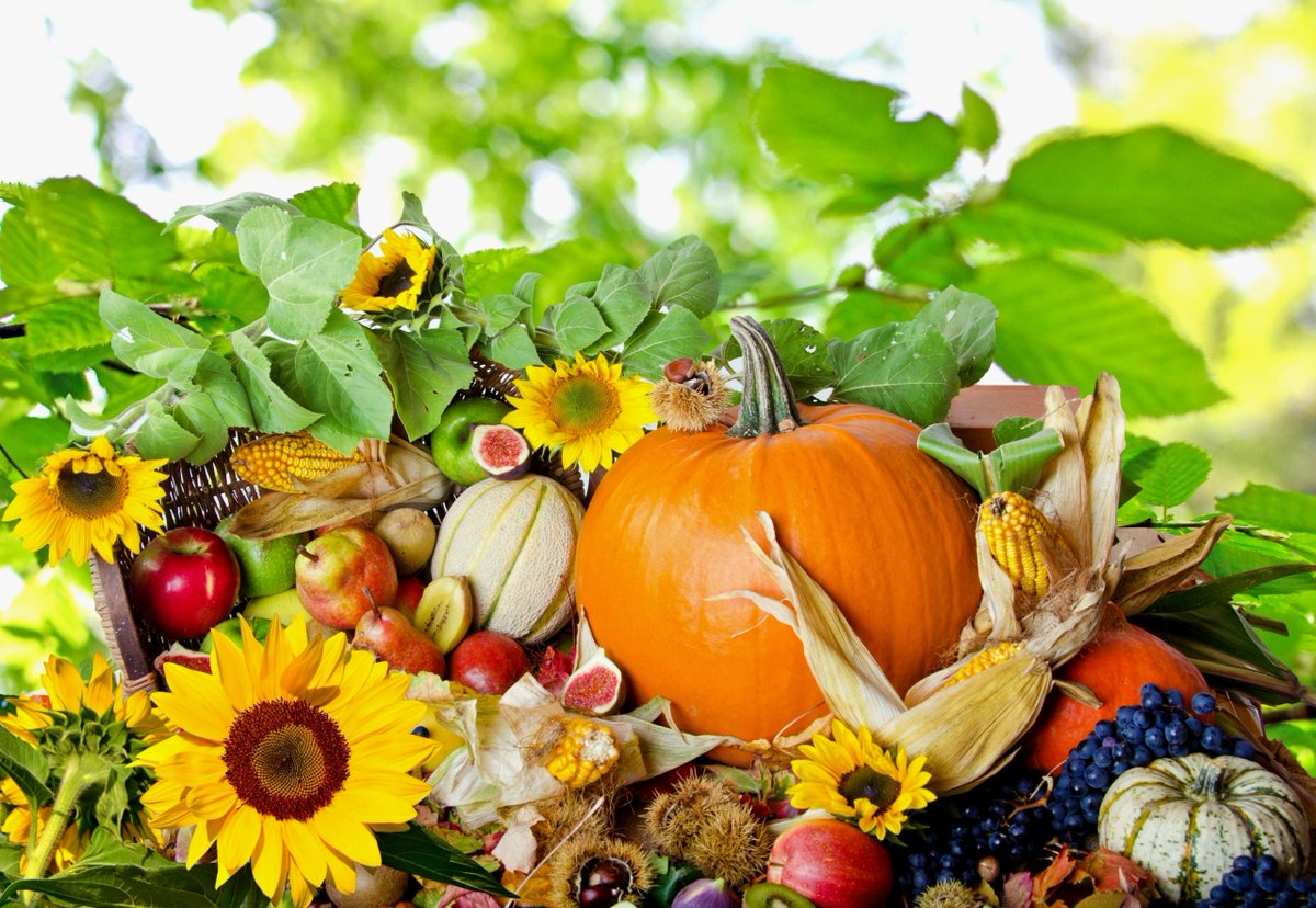 Moussecatering's tweet photo. The Holiday for showing gratitude and feasting with loved ones is just a week away.  Check back with us daily for tips  to make your Thanksgiving preparations a breeze! https://t.co/lRIW9LxQZU